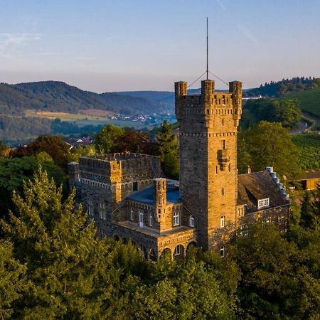 Saar Castle - cozy Mansion near vineyard Villa Serrig Dış mekan fotoğraf