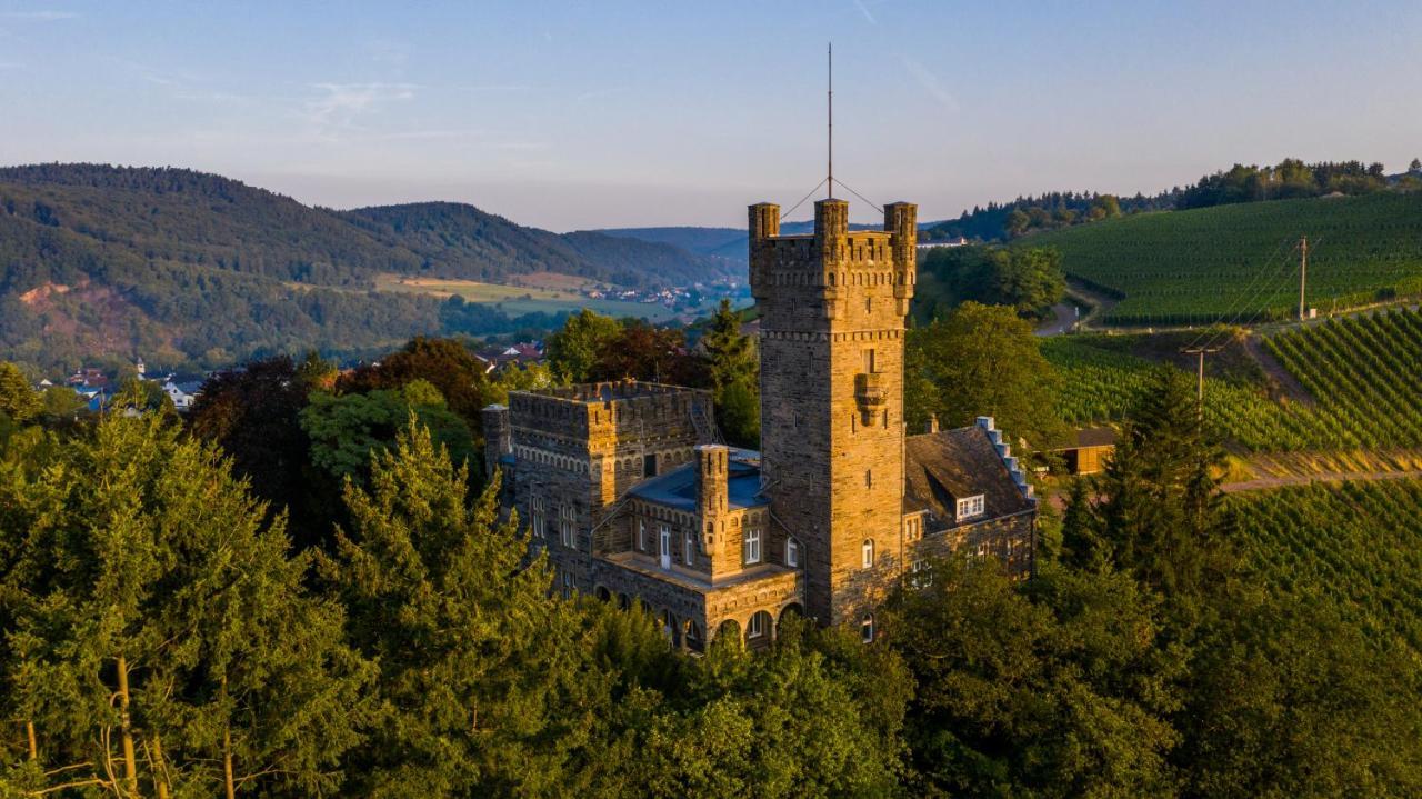Saar Castle - cozy Mansion near vineyard Villa Serrig Dış mekan fotoğraf