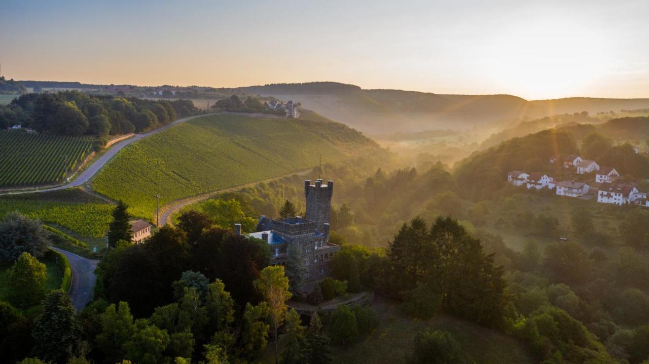 Saar Castle - cozy Mansion near vineyard Villa Serrig Dış mekan fotoğraf