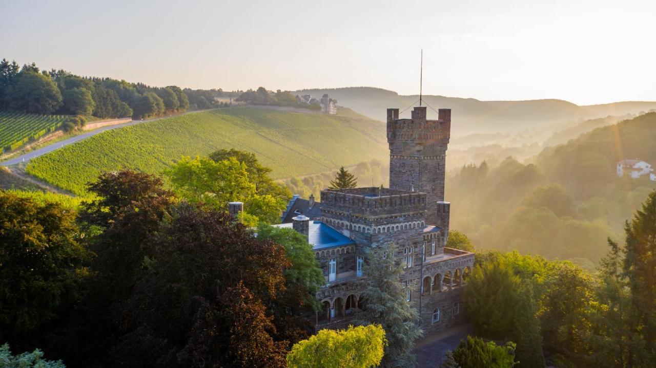 Saar Castle - cozy Mansion near vineyard Villa Serrig Dış mekan fotoğraf