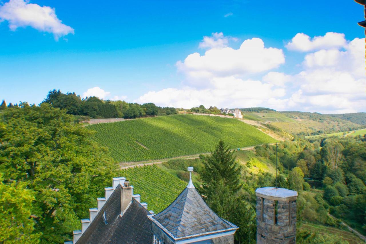 Saar Castle - cozy Mansion near vineyard Villa Serrig Dış mekan fotoğraf