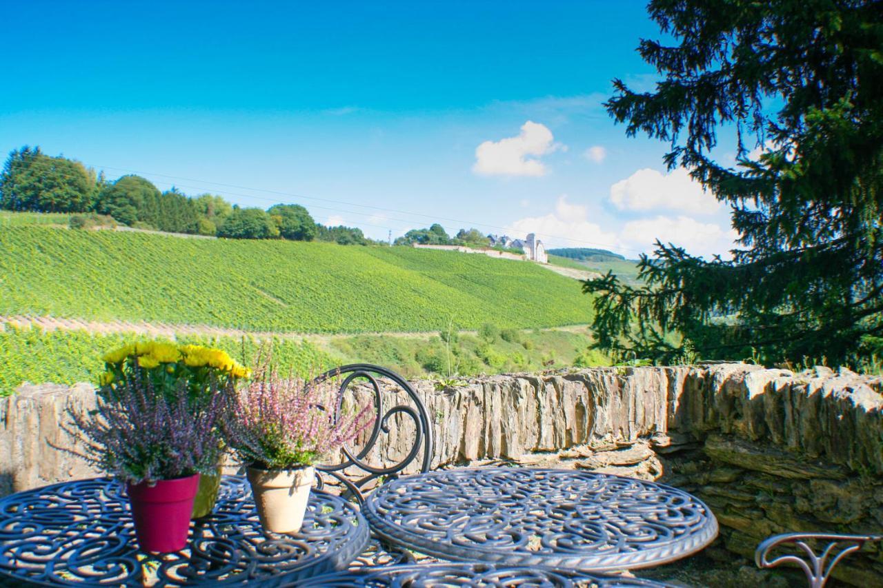 Saar Castle - cozy Mansion near vineyard Villa Serrig Dış mekan fotoğraf